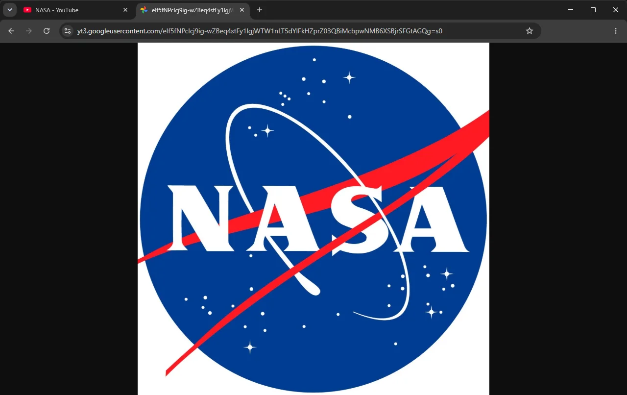 The same NASA profile picture with its address ending in =s0, now filling the height of the window at 1359 × 1362
