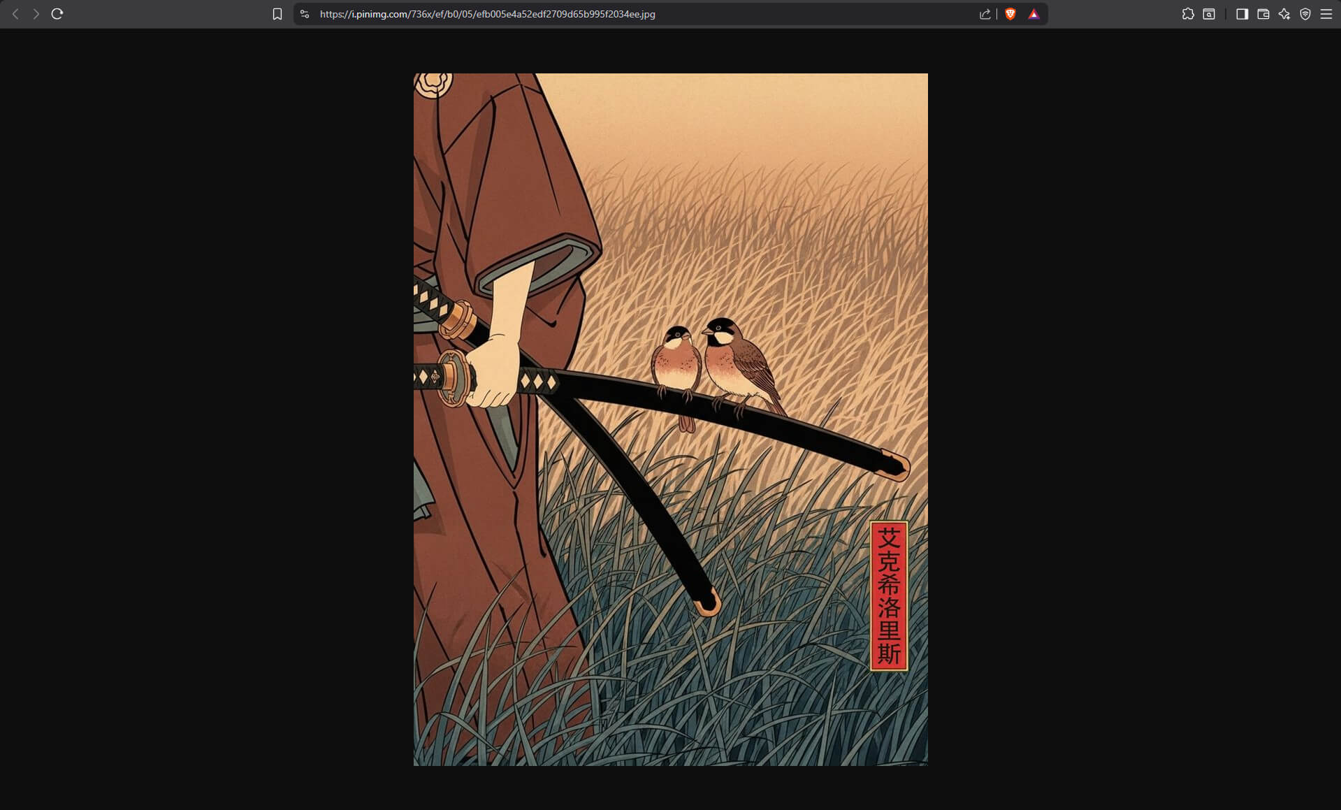 Scaled-down Pinterest image opened in new tab