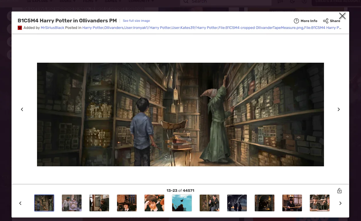 Fandom's gallery on the Harry Potter Wiki: an illustration of Harry in Ollivanders' wand shop in a white box that leaves the page visible around it, with a See full size image link in the header and a strip of thumbnails below