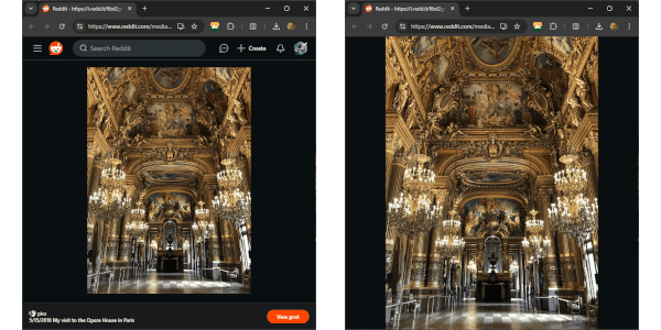 Image demonstrating the hiding of header and footer on Reddit images