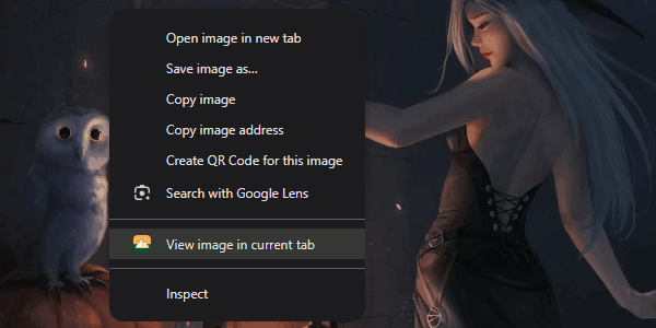 Image demonstrating a feature of viewing an image in the current tab
